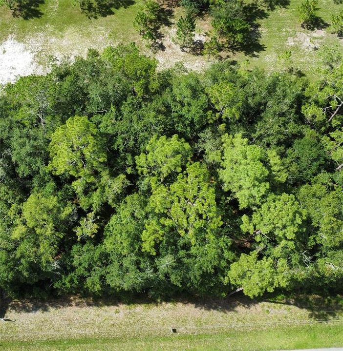 For Sale: $12,000 (0.21 acres)