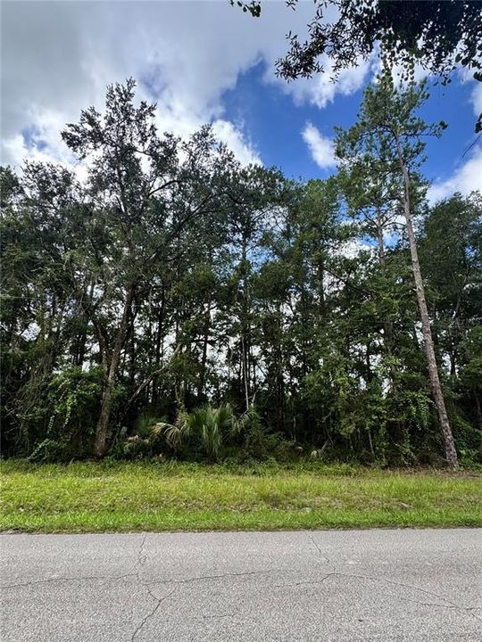 For Sale: $12,000 (0.21 acres)