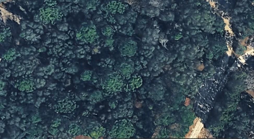 For Sale: $30,000 (1.25 acres)
