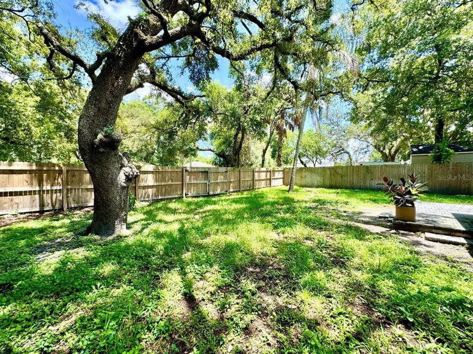 For Rent: $2,400 (3 beds, 2 baths, 1337 Square Feet)