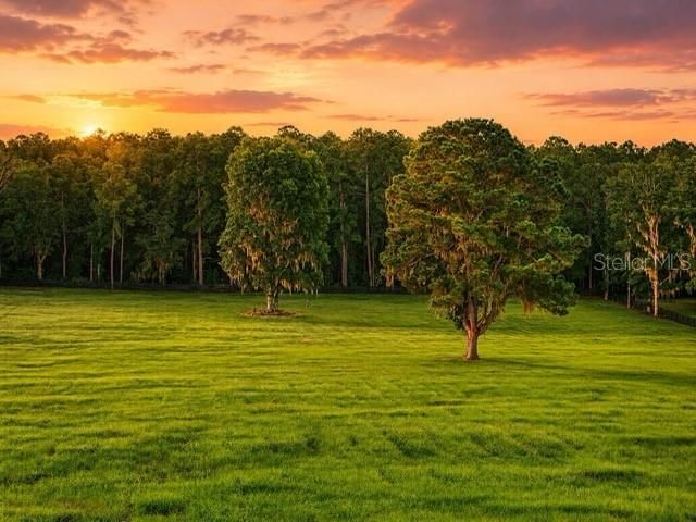 待售: $650,000 (10.71 acres)