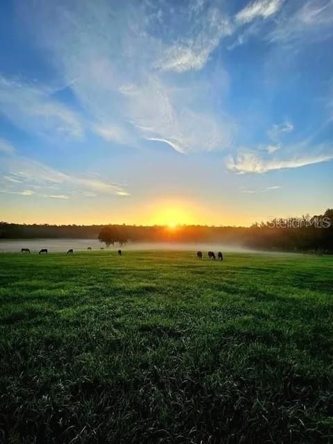 待售: $650,000 (10.71 acres)