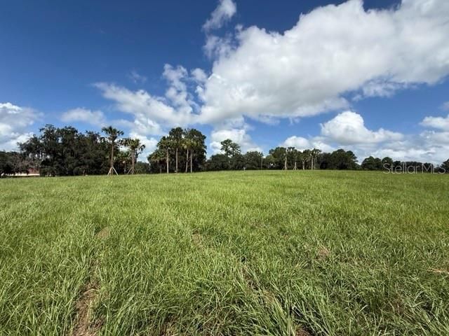 待售: $650,000 (10.71 acres)