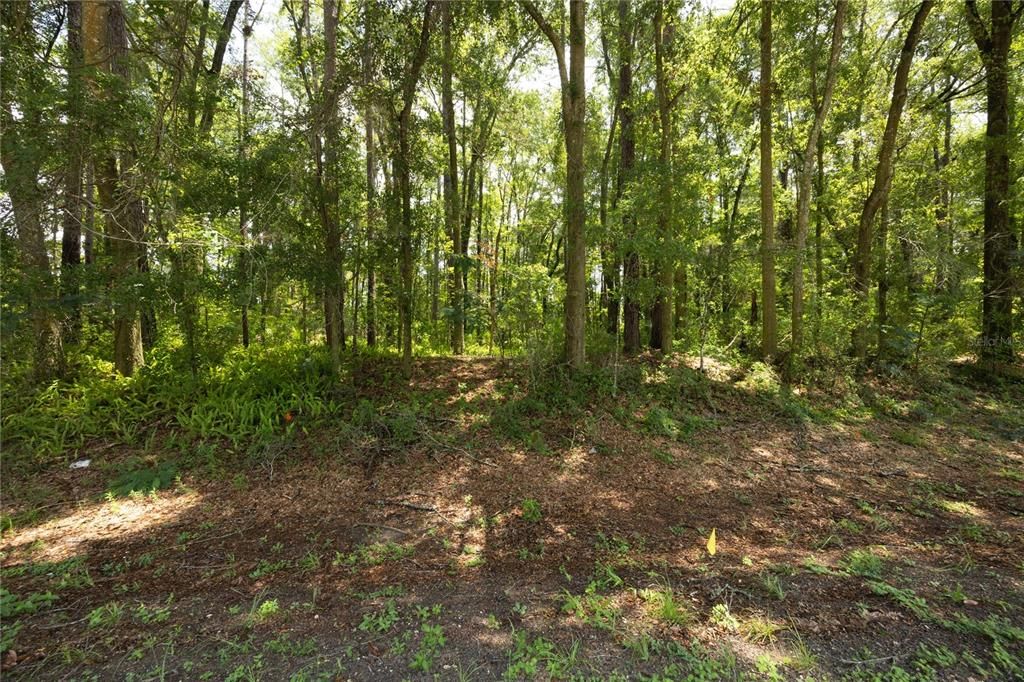 For Sale: $295,000 (0.96 acres)
