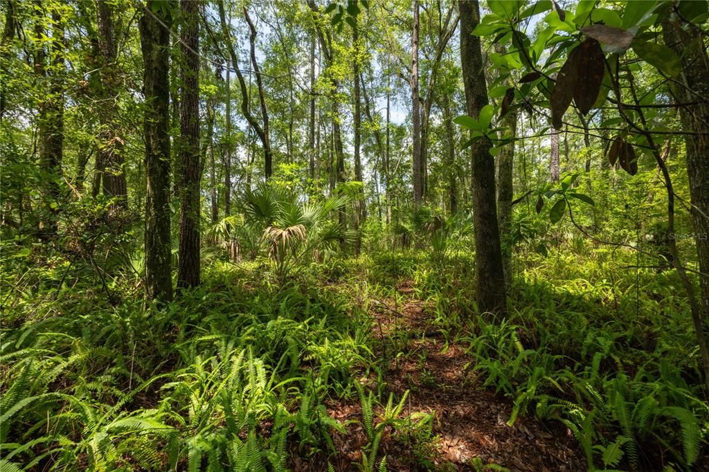 For Sale: $295,000 (0.96 acres)