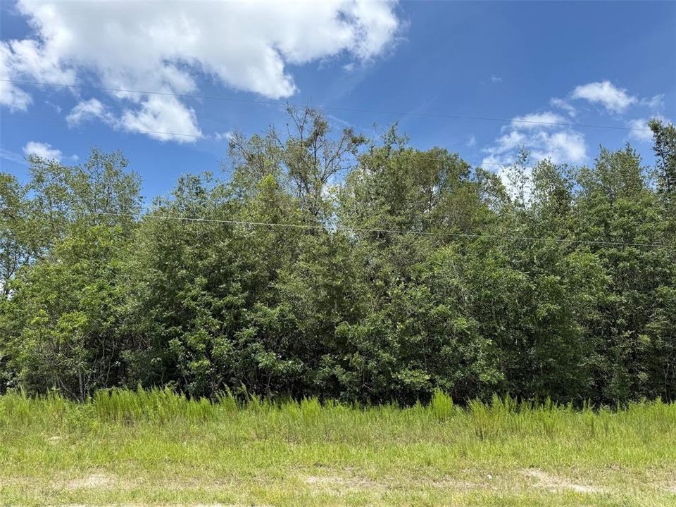 For Sale: $132,500 (5.17 acres)