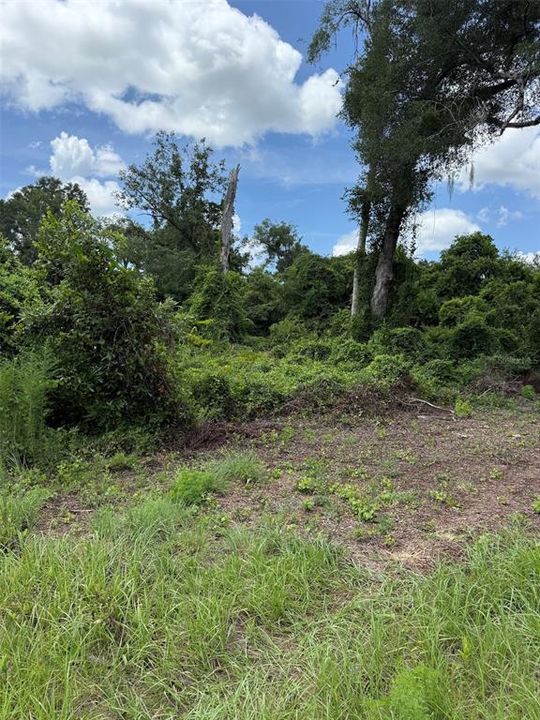 For Sale: $132,500 (5.17 acres)