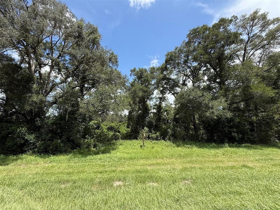 For Sale: $132,500 (5.17 acres)