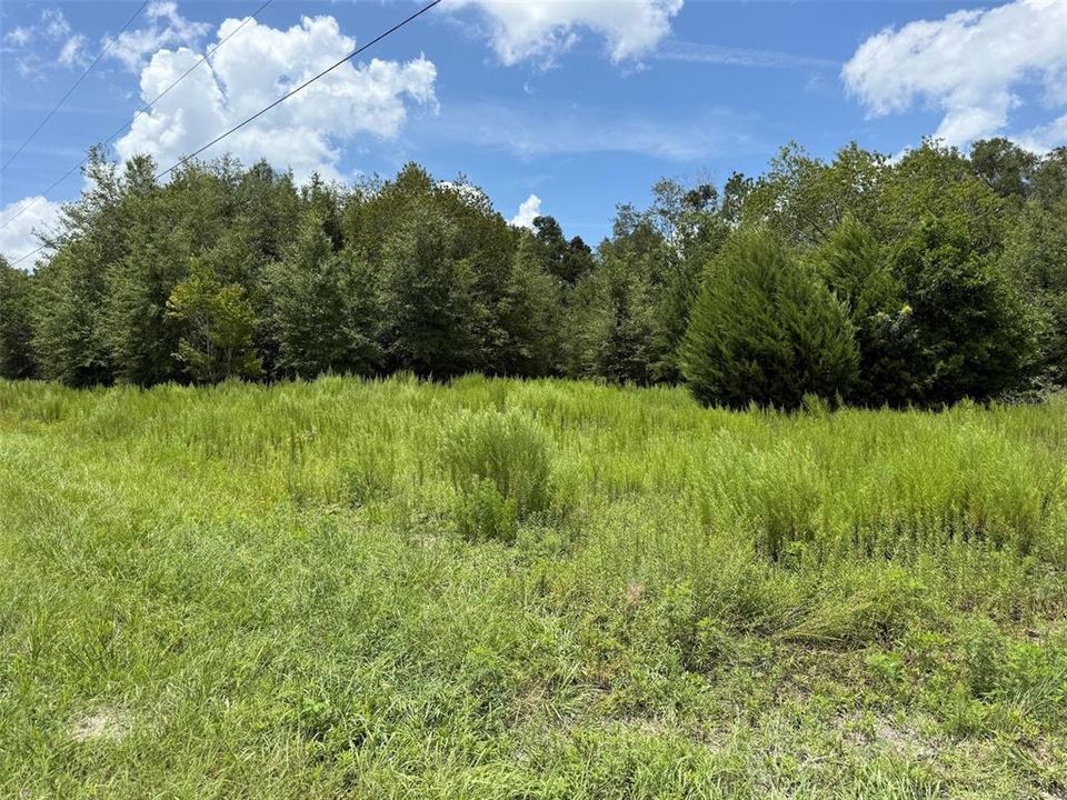 For Sale: $132,500 (5.17 acres)
