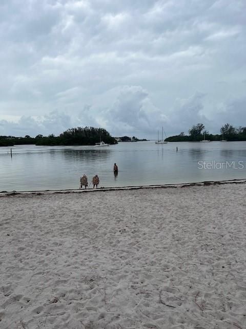 For Sale: $895,000 (0 beds, 0 baths, 0 Square Feet)