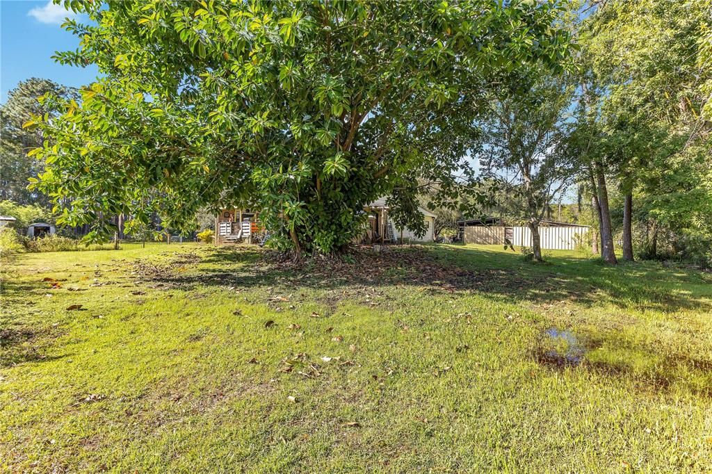 For Sale: $975,000 (8.58 acres)