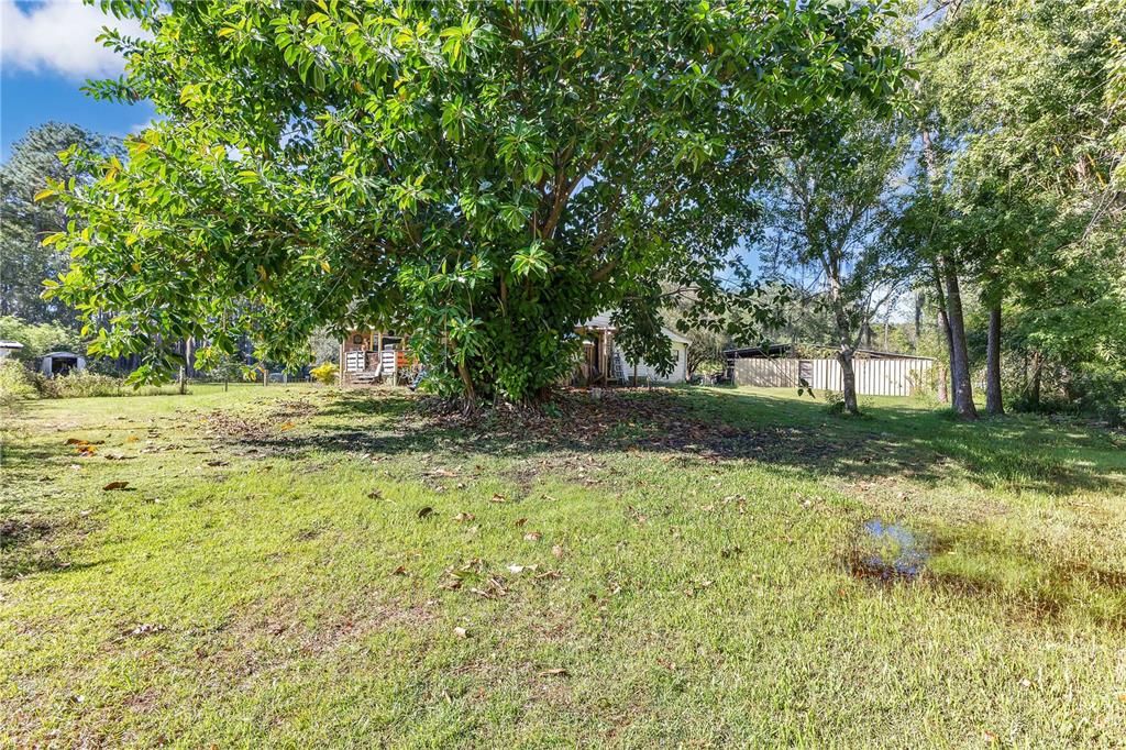 For Sale: $975,000 (8.58 acres)