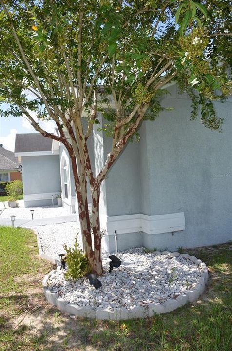 For Sale: $270,000 (3 beds, 2 baths, 1499 Square Feet)