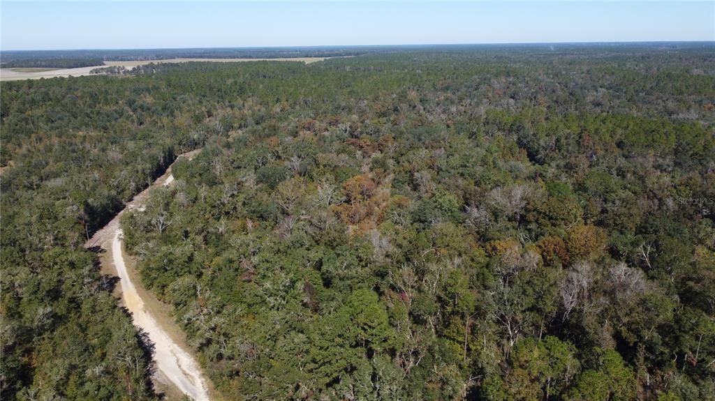 For Sale: $30,000 (1.71 acres)