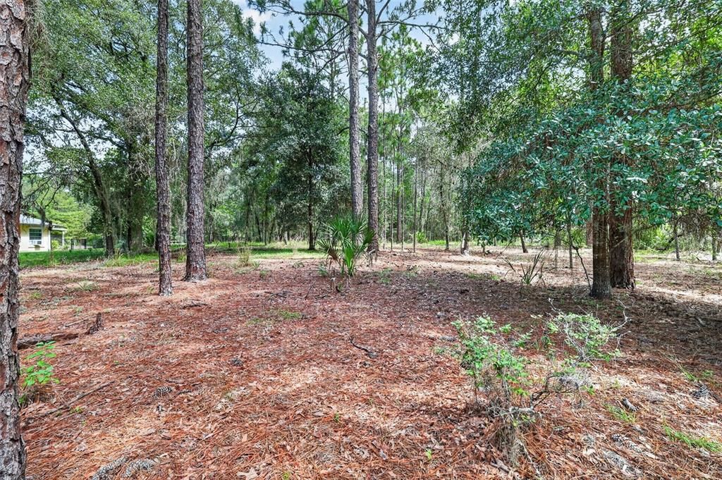 待售: $58,000 (1.10 acres)