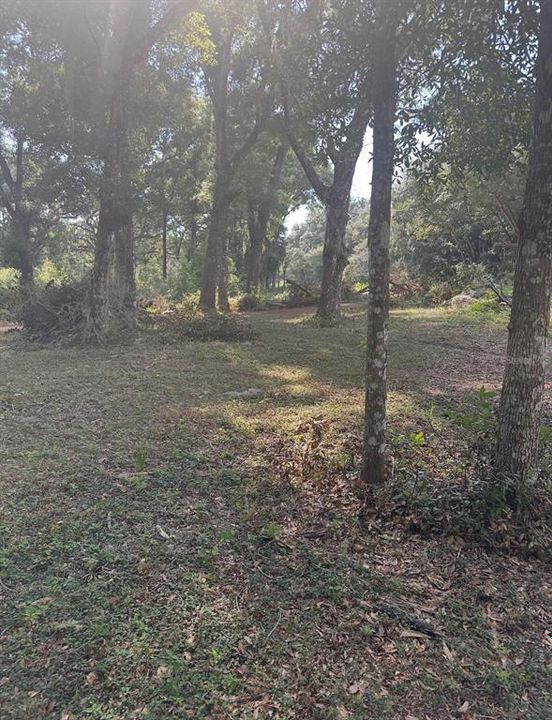 For Sale: $77,000 (1.29 acres)