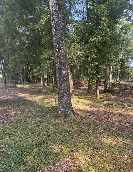 For Sale: $77,000 (1.29 acres)