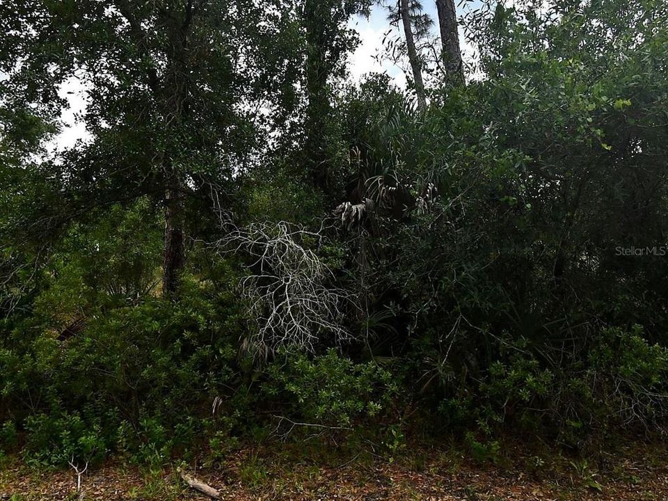 For Sale: $20,000 (0.23 acres)