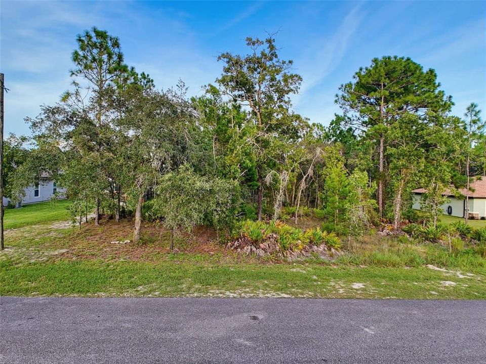 Activo con contrato: $45,000 (0.46 acres)