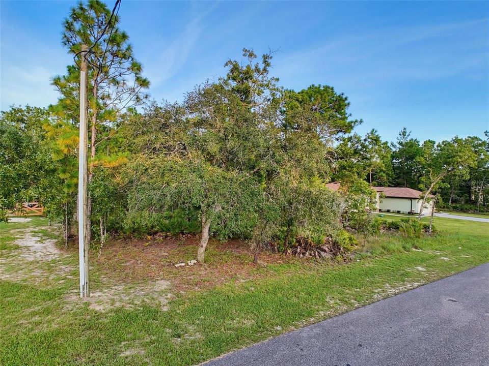 Activo con contrato: $45,000 (0.46 acres)