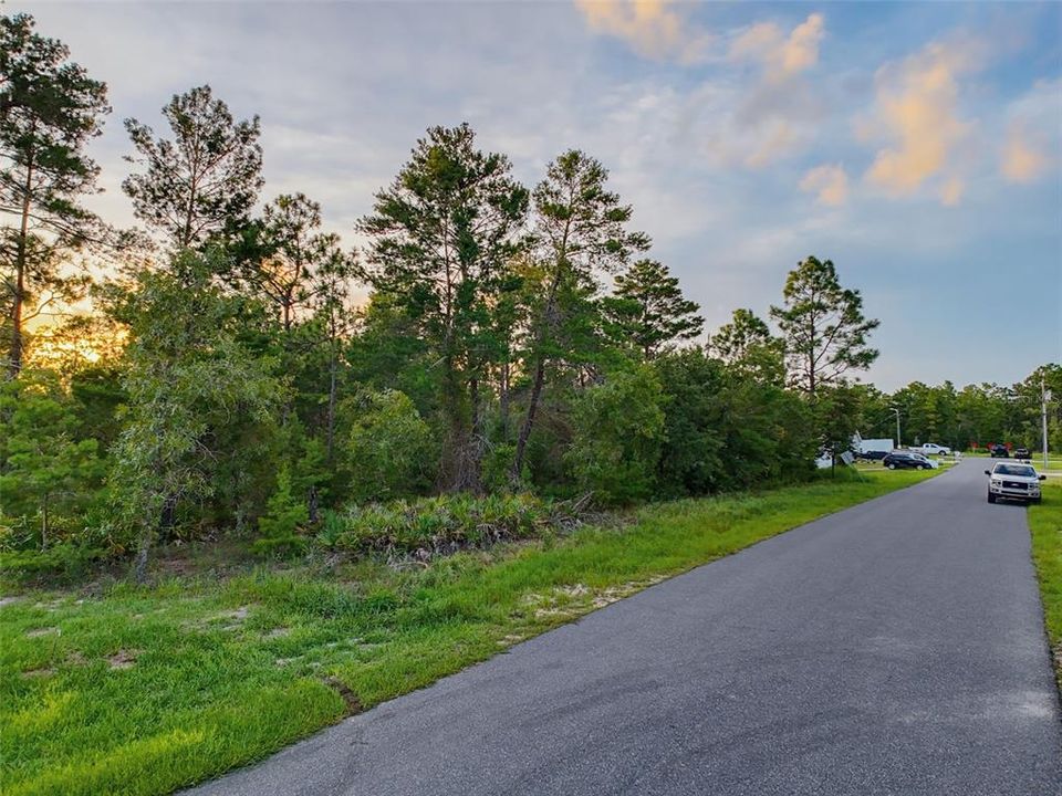 На продажу: $45,000 (0.46 acres)