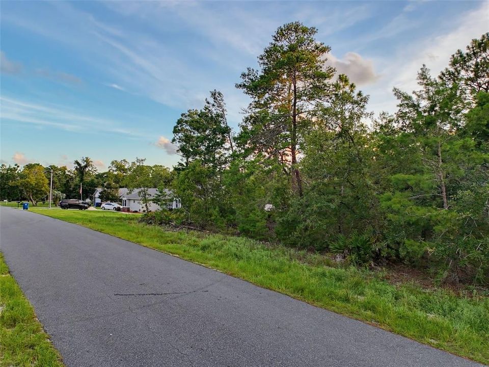 На продажу: $45,000 (0.46 acres)