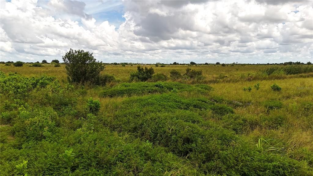 待售: $680,000 (40.01 acres)