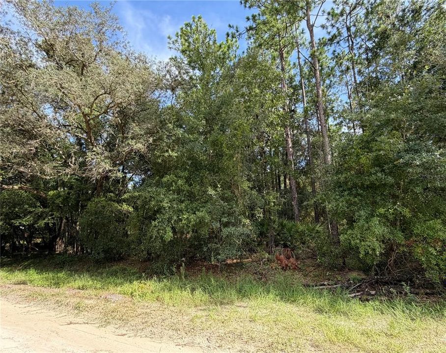 На продажу: $139,900 (1.85 acres)