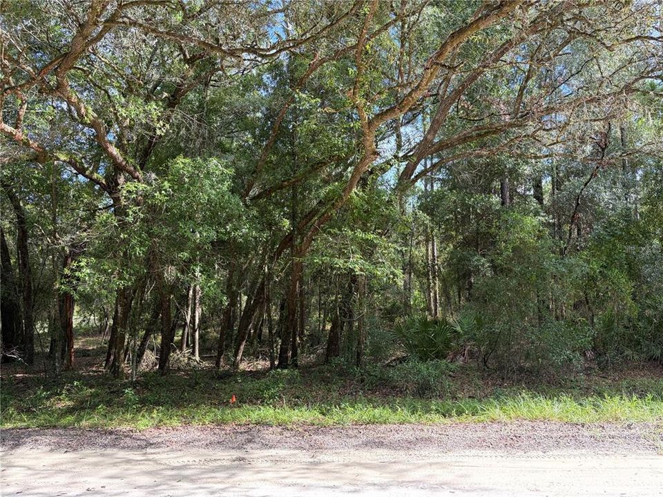 На продажу: $139,900 (1.85 acres)
