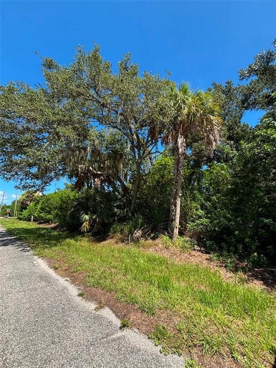 For Sale: $18,500 (0.23 acres)