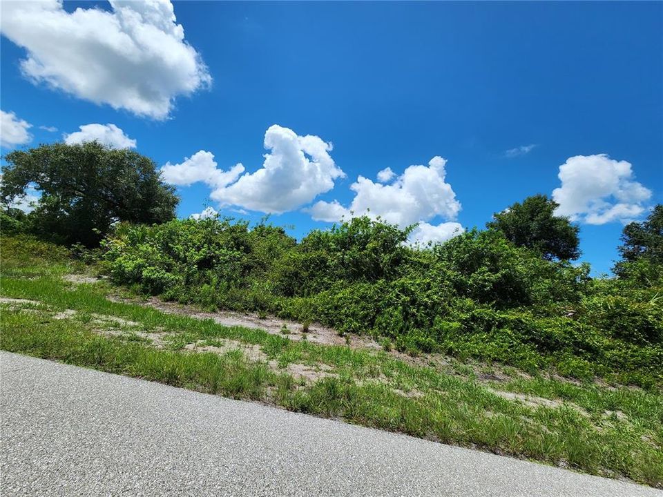 For Sale: $18,500 (0.23 acres)
