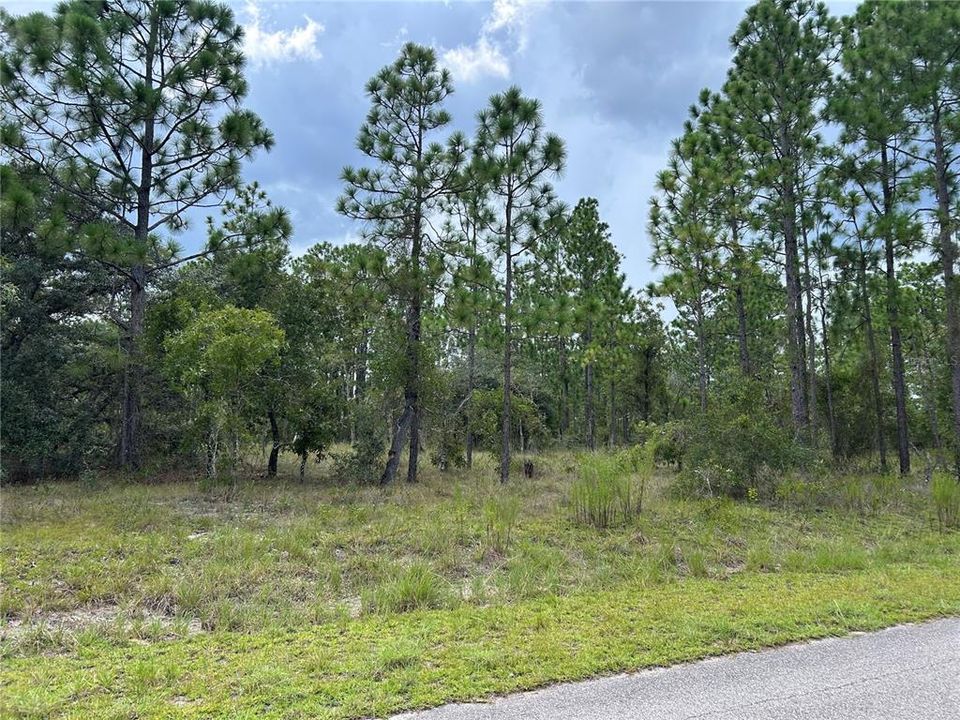 Activo con contrato: $45,000 (2.00 acres)