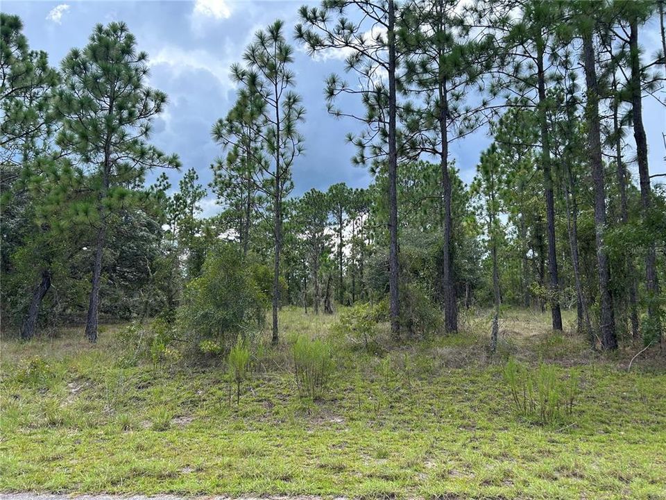 Activo con contrato: $45,000 (2.00 acres)