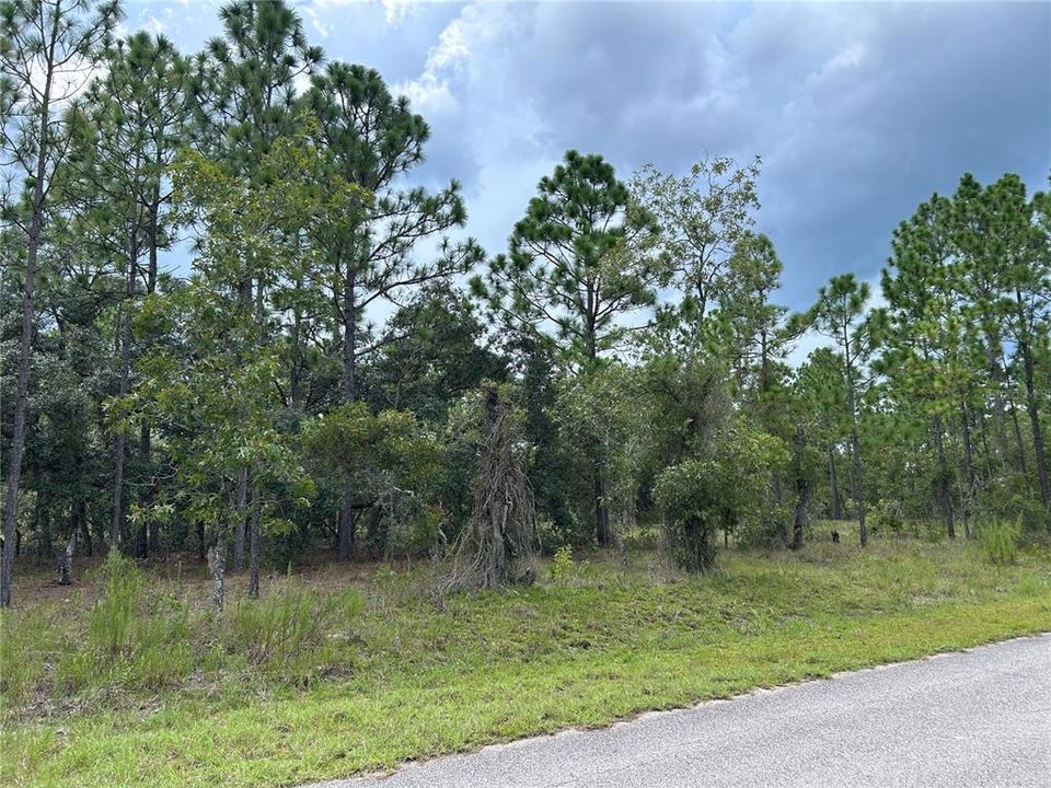 Activo con contrato: $45,000 (2.00 acres)