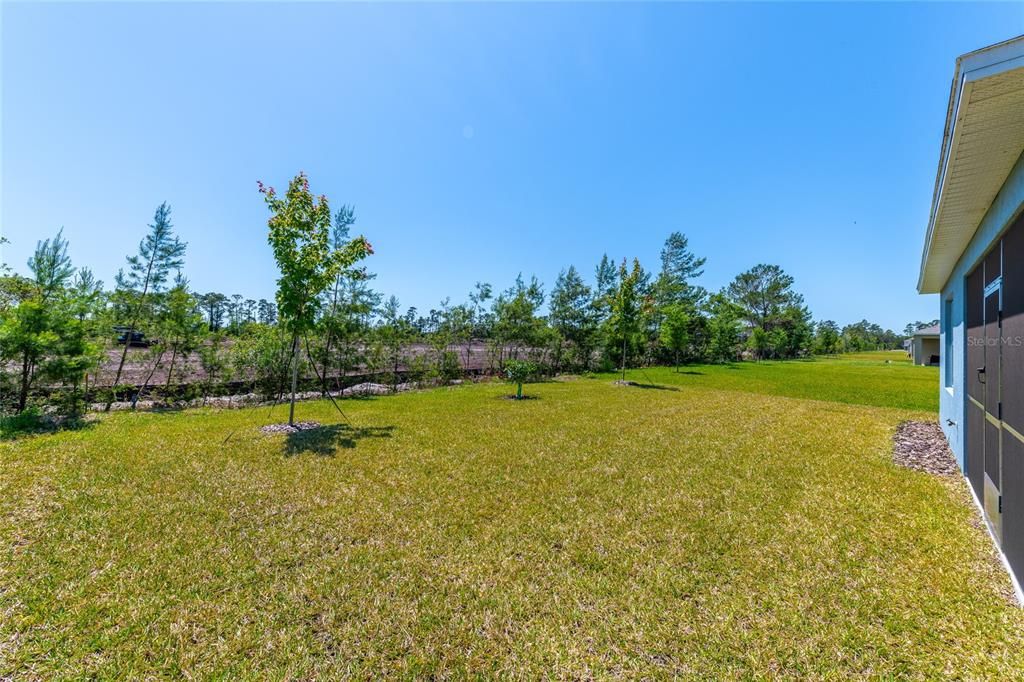 For Sale: $345,000 (3 beds, 2 baths, 1373 Square Feet)