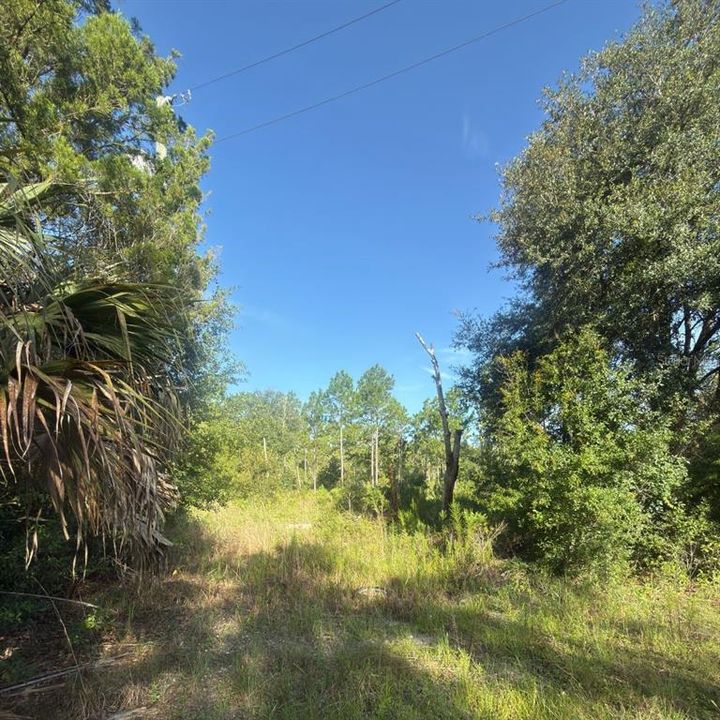 For Sale: $54,900 (1.50 acres)