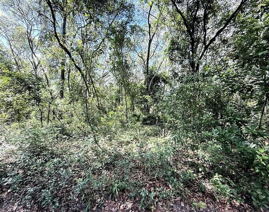 En Venta: $22,500 (0.62 acres)