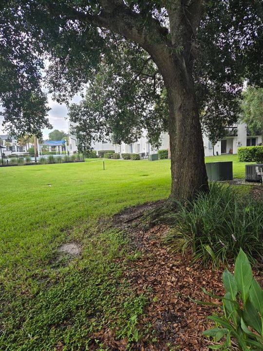 For Rent: $1,649 (2 beds, 1 baths, 1208 Square Feet)