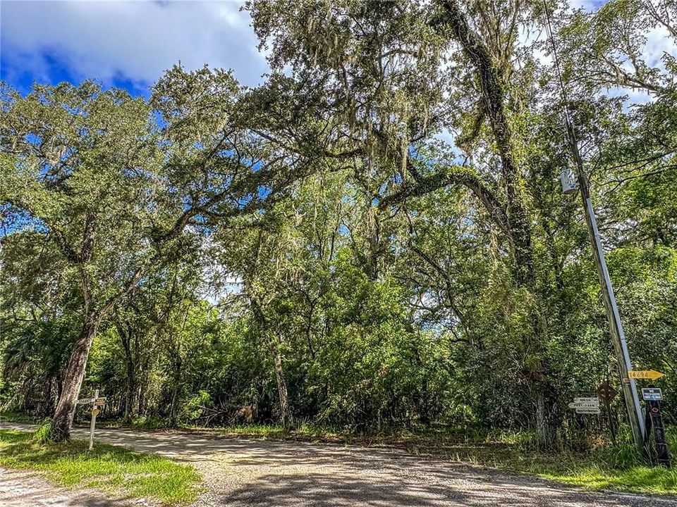 For Sale: $350,000 (10.26 acres)