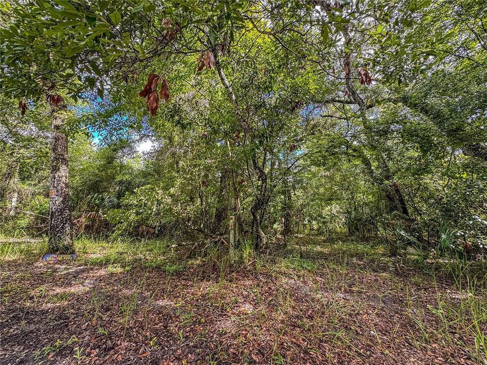 For Sale: $350,000 (10.26 acres)