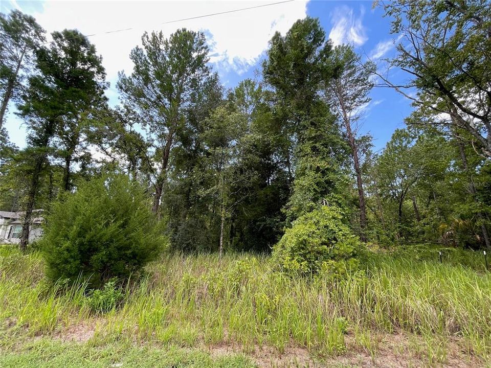 На продажу: $50,000 (0.47 acres)