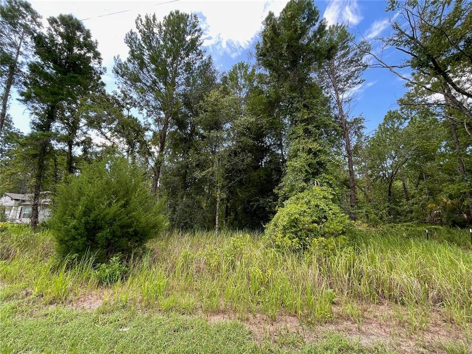 На продажу: $50,000 (0.47 acres)