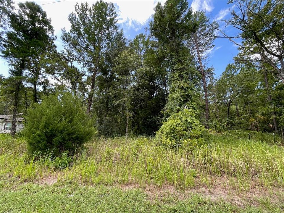 На продажу: $50,000 (0.47 acres)