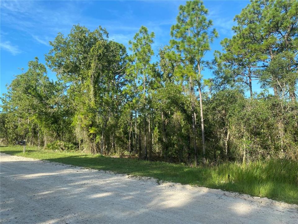 En Venta: $55,000 (0.46 acres)