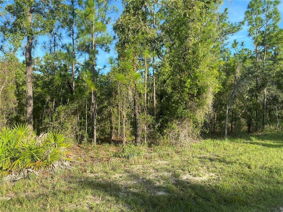 En Venta: $55,000 (0.46 acres)