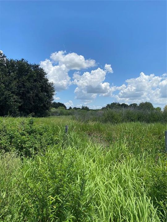 For Sale: $250,000 (4.83 acres)
