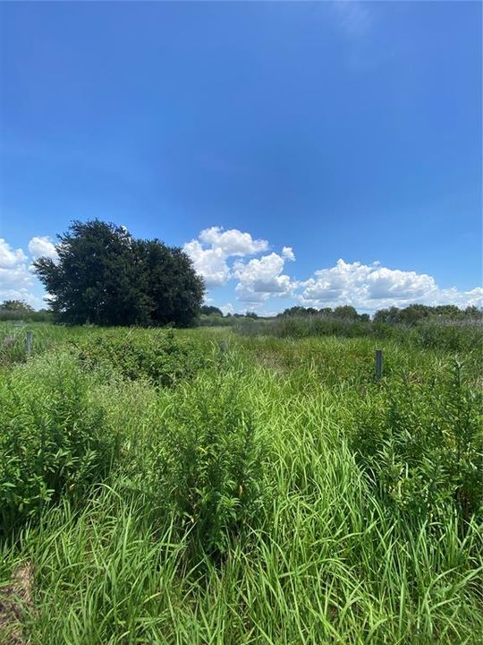 For Sale: $250,000 (4.83 acres)