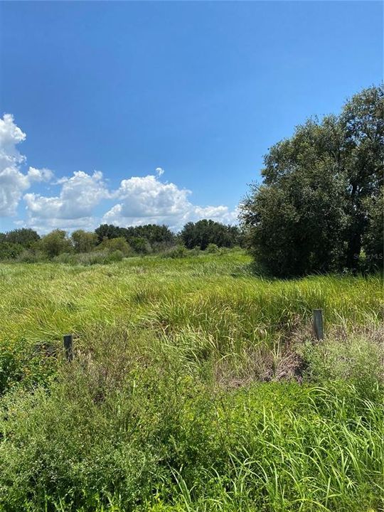 For Sale: $250,000 (4.83 acres)