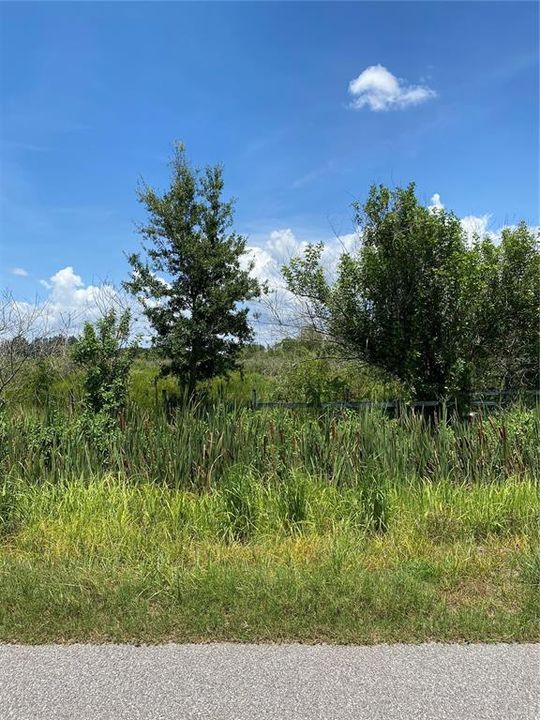 For Sale: $250,000 (4.83 acres)