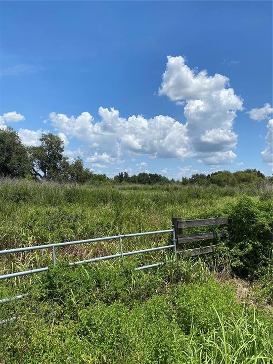 For Sale: $250,000 (4.83 acres)